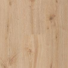  Ламинат Kastamonu Floorpan Grey Ройбуш (FP470)
